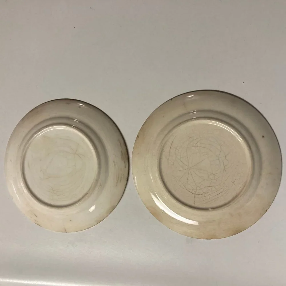 Vintage Salad Plates (2) 6 Inches with Pink & Blue Flowers / Roses